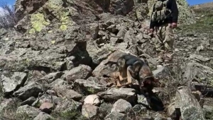Erzurum'un Karayazı ilçesindeki terör operasyonunun görüntülerine ulaşıldı