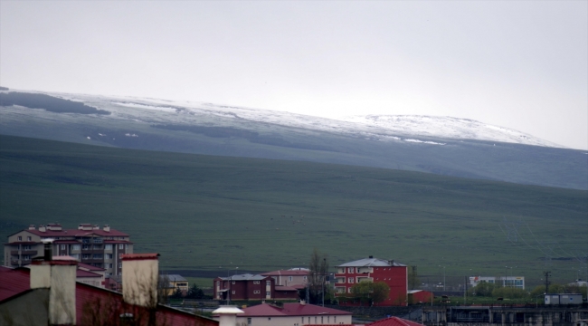 Erzurum ve Ardahan'ın yüksek kesimleri mayısta yağan karla beyaza büründü