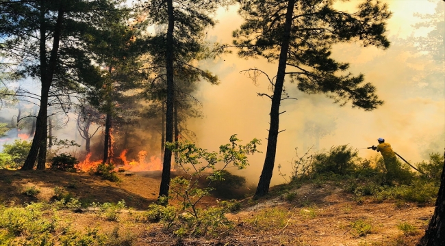 Hatay'da Amanos Dağları eteklerinde orman yangını çıktı
