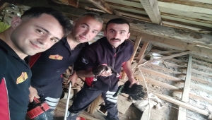 İki bina arasında mahsur kalan kedi yavrularını itfaiye kurtardı