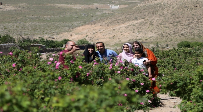 İran'da gül hasadının başladığı bölgeler binlerce turist çekiyor