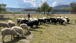 Isparta'da yangında hayvanları telef olan aileye, yetiştiriciler destek verdi