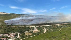 İzmir'in Urla ve Dikili ilçelerinde ormanlık alanlarda yangın çıktı