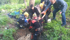 Karabük'te 10 metre derinliğindeki kuyuya düşen iki köpek kurtarıldı