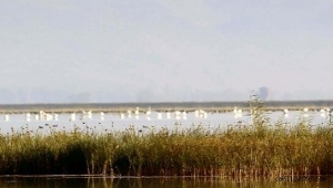 Kayseri'de bataklıkta mahsur kalan 6 kişi kurtarıldı