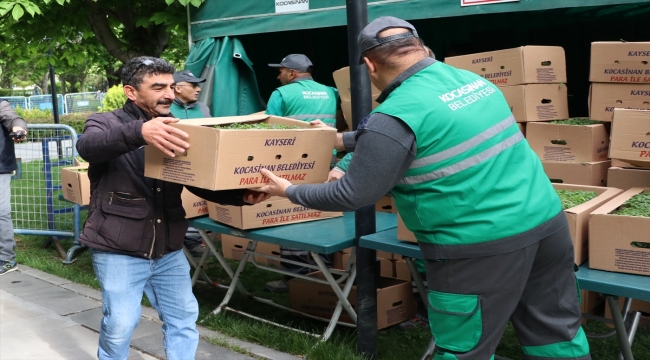 Kayseri'de ilçe belediyesi 500 bin organik fide dağıttı