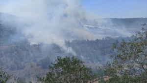 KKTC'de Geçitköy bölgesinde yangın çıktı