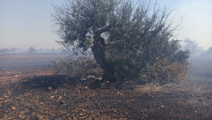 KKTC'de Koruçam köyünde çıkan yangın kontrol altına alındı
