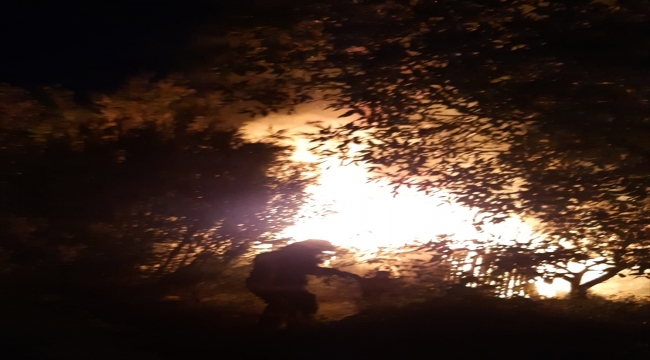 Malatya'da bağ evinde çıkan yangın söndürüldü