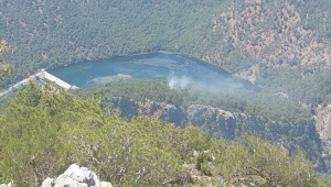Muğla'da orman yangını çıktı
