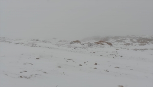 Nemrut Dağı'nda kar yağışı etkili oldu