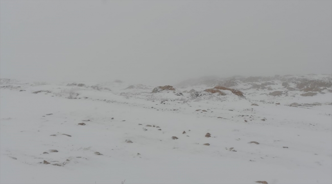Nemrut Dağı'nda kar yağışı etkili oldu