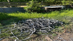 Sakarya ve Düzce'de haberleşme kablosu çalan 3 şüpheli yakalandı