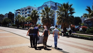 Samsun'da denize düşen karaca kurtarıldı 