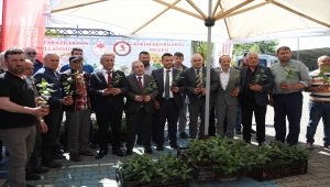 Samsun'da üreticilere 4 bin 400 aronya fidesi dağıtıldı