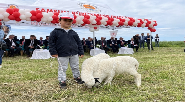 Samsun'da yarışmada dereceye giren çocuklara kuzu ve civciv verildi