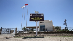 Şanlıurfa'nın ceylanları "karşılama merkezi"nden canlı izlenebilecek