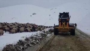 Siirt'te kar ve tipi nedeniyle yaylada mahsur kalan 10 kişilik aile kurtarıldı