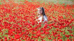 Tekirdağ'da gelincik tarlaları fotoğraf tutkunlarını ağırlıyor