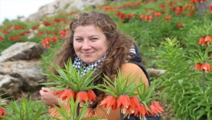 Ters laleler Batman'da doğaya renk kattı 