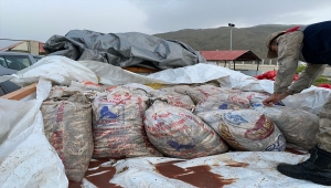 Van'da kaçak avlanılan 11 ton inci kefali ele geçirildi