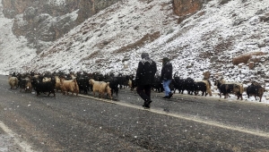 Van'da kar yağışı etkili oldu