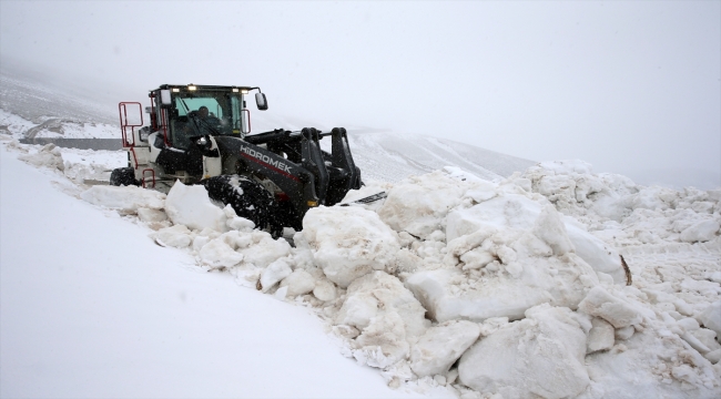Van ve Bitlis'te kar etkili oldu