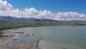 Vanlı öğrenciler Erçek Gölü'nde konaklayan flamingoları gözledi