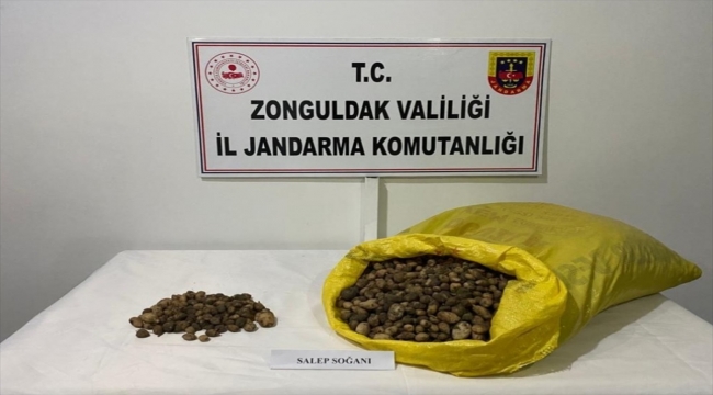 Zonguldak'ta salep soğanı toplayan 2 kişiye 218 bin lira ceza