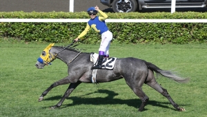 96. Gazi Koşusu'nu "Secret Power" kazandı