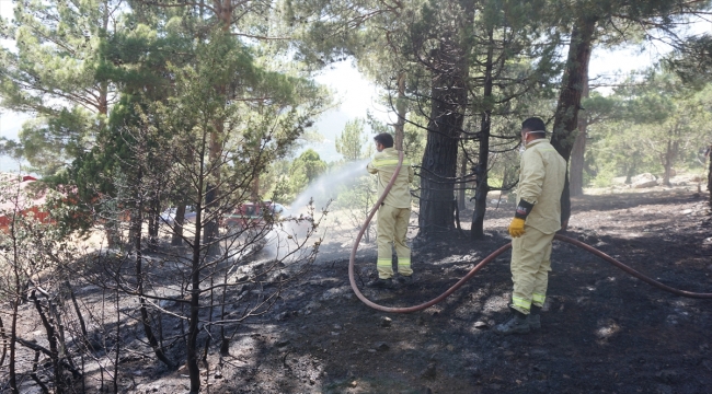 Adana'da çıkan orman yangını kontrol altına alındı 