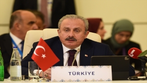 Aliyev, BMGK'da reform yapılmasını desteklediklerini söyledi