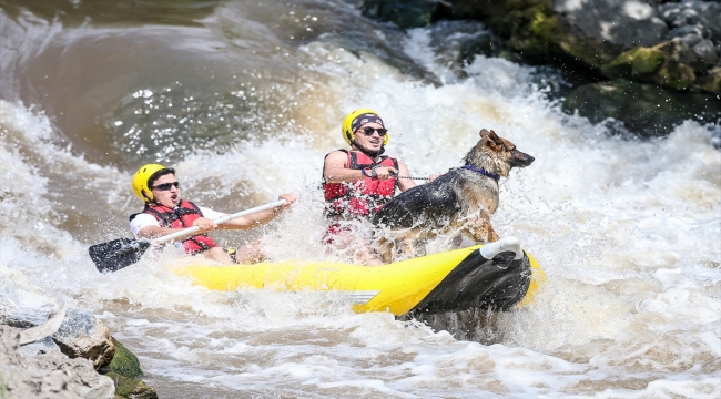 Alman kurt köpeği "Leo" Bursa'daki rafting turlarının maskotu oldu