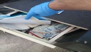 Aydın'da suç örgütüne yönelik operasyonda 11 şüpheli yakalandı