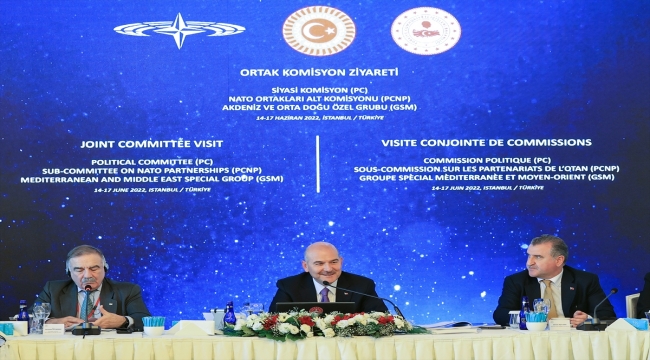 Bakan Soylu, NATO Parlamenter Asamblesi Politik Komite ve Ortadoğu Komitesi heyetiyle bir araya geldi:
