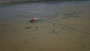 Burdur'da balçıklaşan alanda mahsur kalan 96 koyun kurtarıldı