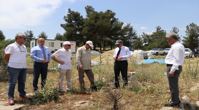 Denizli'de 2 yıl önce bulunan kaya resimleri araştırılıyor