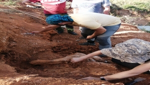 Denizli'de 8 milyon yıllık hayvan fosilleri bulundu