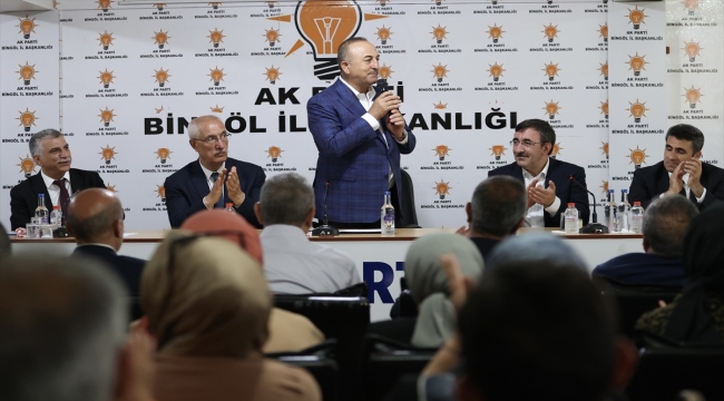 Dışişleri Bakanı Mevlüt Çavuşoğlu Bingöl'de temaslarda bulundu 