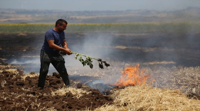 Edirne'de buğday hasadı sırasında çıkan yangın söndürüldü