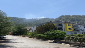 Fethiye ve Seydikemer'de çıkan orman yangınları söndürüldü