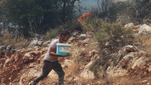 GÜNCELLEME 2 - Antalya'da makilik alanda çıkan yangın kısmen kontrol altına alındı