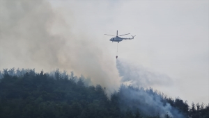 GÜNCELLEME - Bursa'da çıkan orman yangını kontrol altına alındı