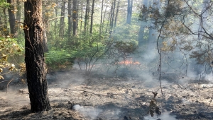 GÜNCELLEME - Eyüpsultan'da ormanlık alanda çıkan yangın kontrol altına alındı