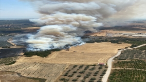 GÜNCELLEME - İzmir'de makilik alanda çıkan yangın kontrol altına alındı
