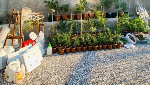 GÜNCELLEME - Muğla'da villada uyuşturucu imal eden yabancı uyruklu zanlı tutuklandı