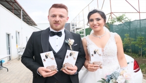 Hayvansever çift düğünlerinde sahipsiz hayvanları unutmadı