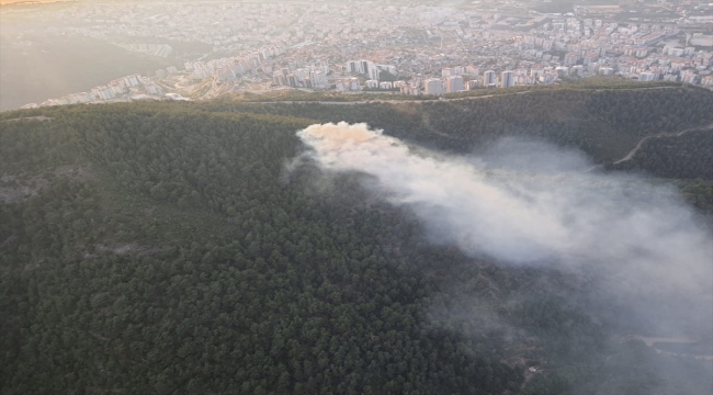 İzmir'de çıkan orman yangınına havadan ve karadan müdahale ediliyor