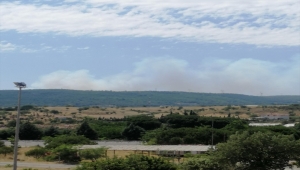 İzmir'de orman ve makilik alanda çıkan yangına müdahale ediliyor
