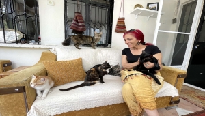 Kardeşinin vasiyeti üzerine yerleştiği köyünde sahipsiz hayvanlara bakıyor